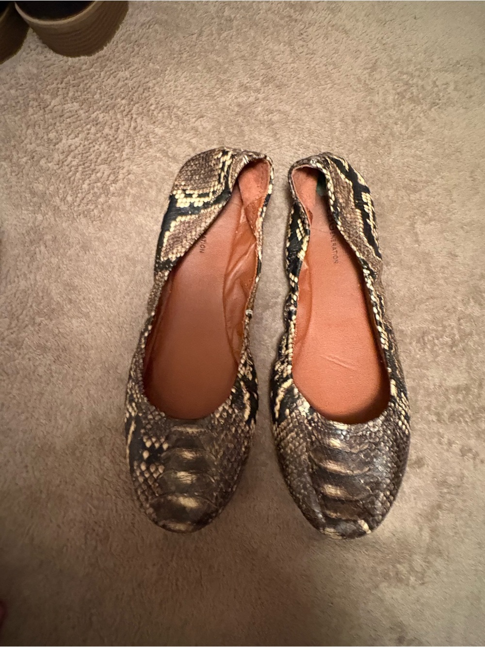 Snake-Print Women's BCBGeneration Ballet Flats